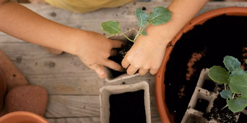 Les petits gardiens de la Terre - Lectures et atelier de jardinage