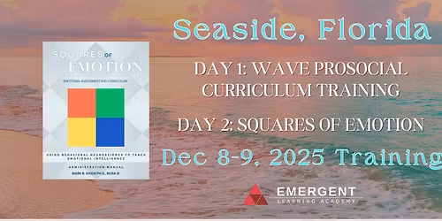 Wave Prosocial & Squares of Emotion Curriculum Training