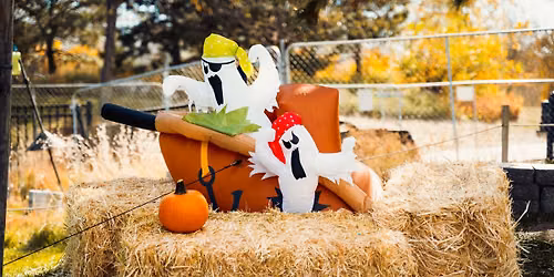 Harvest Hoot
