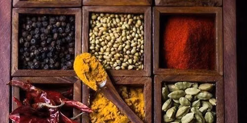 Taste India : journey with a chef through Fordsburg