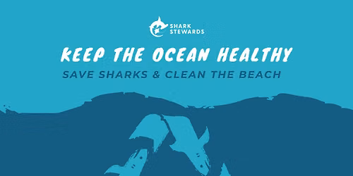 SoCal Shark Stewards Monthly Beach Cleanup