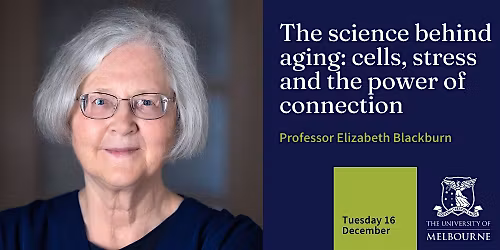 The science behind aging: cells, stress and the power of connection