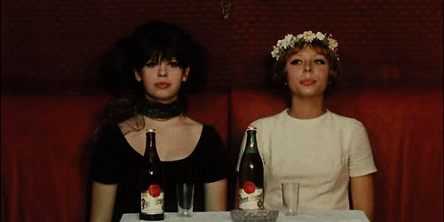 Daisies (1966) Film Screening!