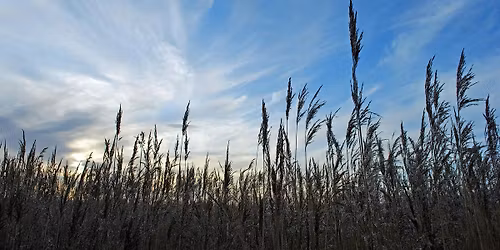 Introduction to the Geology of the Great Fen with Dr Steve Boreham
