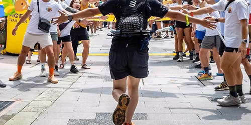 2026\u7b2c\u4e8c\u5c46\u627e\u8336\u8d8a\u91ce