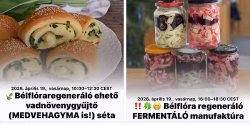 \ud83c\udf43B\u00e9lfl\u00f3raregener\u00e1l\u00f3 ehet\u0151 vadn\u00f6venygy\u0171jt\u0151 (MEDVEHAGYMA is!) s\u00e9ta F\u00f3ton+ tiszta art\u00e9zi v\u00edzv\u00e9tel ;)