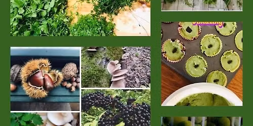 \ud83c\udf43 \u00dcnnepek ut\u00e1ni b\u00e9lfl\u00f3ra regener\u00e1l\u00f3 ehet\u00f4 vadn\u00f6v\u00e9nygy\u00fbjt\u00f4 s\u00e9ta (aj\u00e1nd\u00e9k vir\u00e1gter\u00e1pi\u00e1val) Sz\u00f4dliget