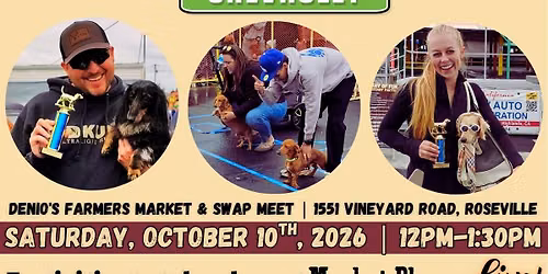Dog Day of Fun 2026