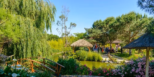 Le Brunch de l'Ile de Tara ! #3