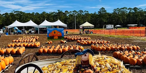 2025 Fall Festival