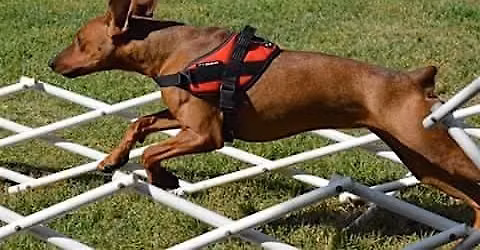 Training Class - Total Recall