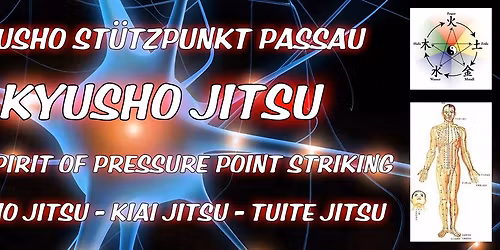 Kyusho Jitsu Seminar mit GM J\u00fcrgen Kraus 9. Dan DKI