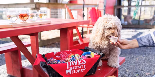 Pup Picnic at Taves Estate Cidery