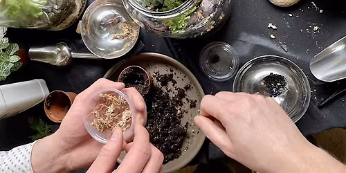 One Gallon BioActive Terrarium Workshop: Sunday October 26th , 10am-12pm