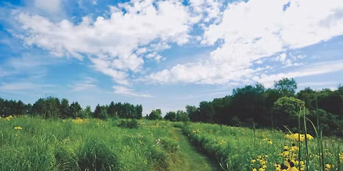 Prairie Wildflower Walk