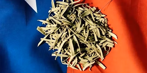 Texas Acupuncture Awareness Day