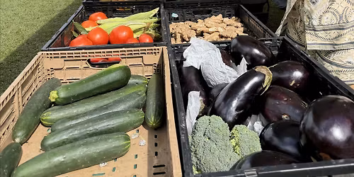 Community Farmers Market at Huizenga Park