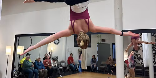 12 Week Aerial Winter Session-Advanced 