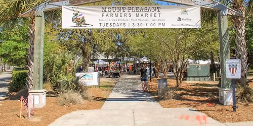 Lowcountry Fall Native Plant Market!