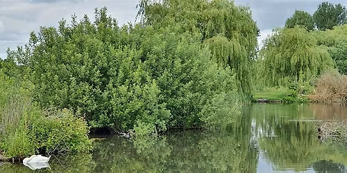 Kweens and Kings Cycle Group To: Foots Cray Meadows Sun 24th May 2026