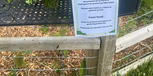 Hendy Community Garden Volunteer session Mo