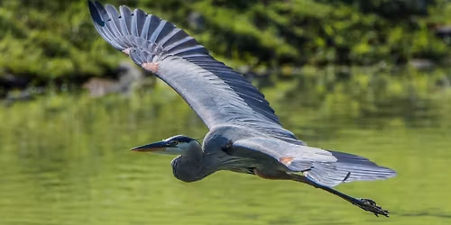 November New Moon Ceremony