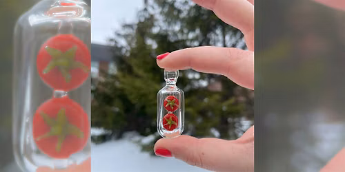 Bottled Botanicals with Bronagh Dempsey