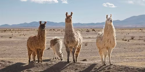 Twist Bioscience Lunch & Learn (NGS, Synthetic Biology, Antibody Discovery)