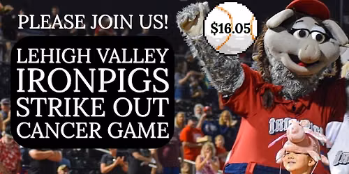 Iron Pigs Strike Out Cancer Game 