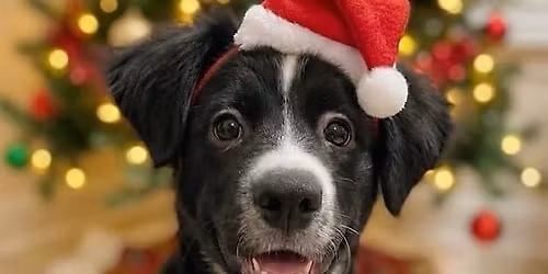 Super Saturday At Spotsylvania Towne Centre\n\n