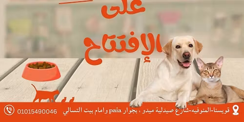 \u0627\u0641\u062a\u062a\u0627\u062d Pets Corner