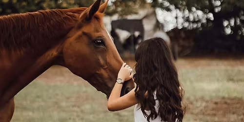 Resiliency Wranglers Introduction - (Series 5)