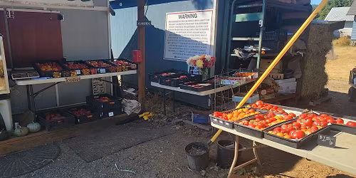 Christmas on the Farm!