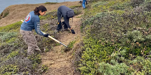 Stewardship Day at Jenner Headlands Preserve
