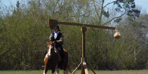 Equestrian @ Castle Wars 2026