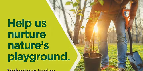 Fall One Million Tree Planting Event