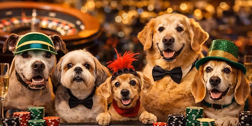 Bark & Bet Casino Night