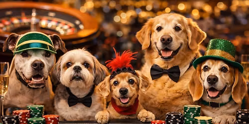 Bark & Bet Casino Night