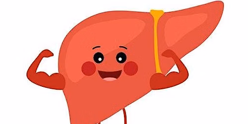 Looking After Your Liver: Reducing Your Risk