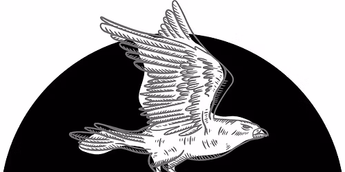 NIGHTJAR, a poetry series, featuring Karen Kovacik