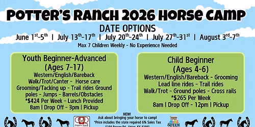 Children's Horse Camp