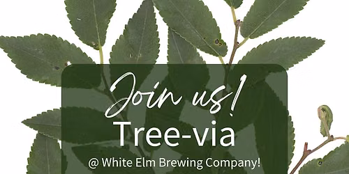 Tree-via at White Elm Brewing Company