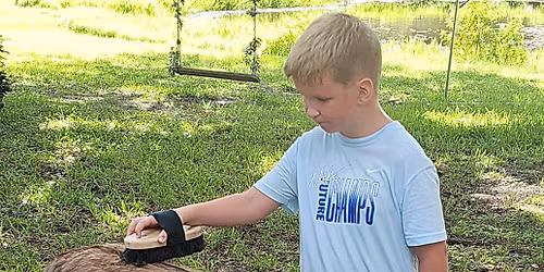 Farm Days with Petting Zoo - Sundays