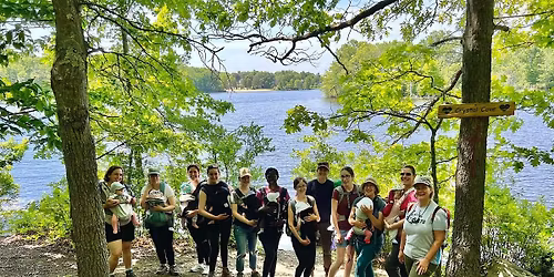 Babes in the Woods Hike