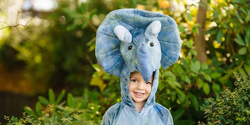 Tiny Triceratops Story Time | La hora del cuento del peque\u00f1o Triceratops