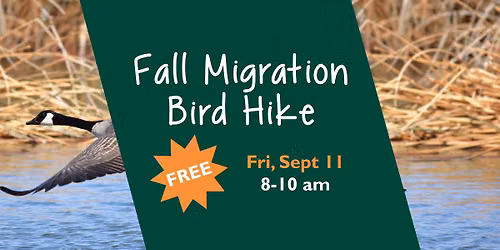 Fall Migration Bird Hike