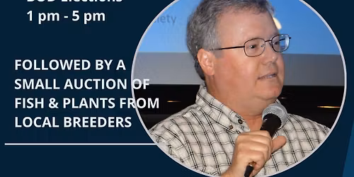 AAAA November Meeting