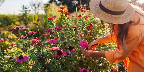 Hike & Harvest: Floral Design