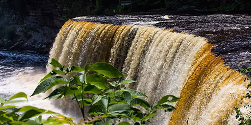 Basic Photography 101