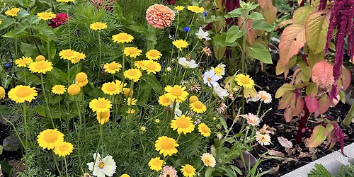 Painting with Nature